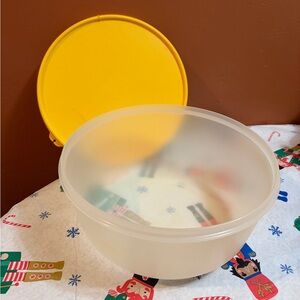Vintage Tupperware Bowl